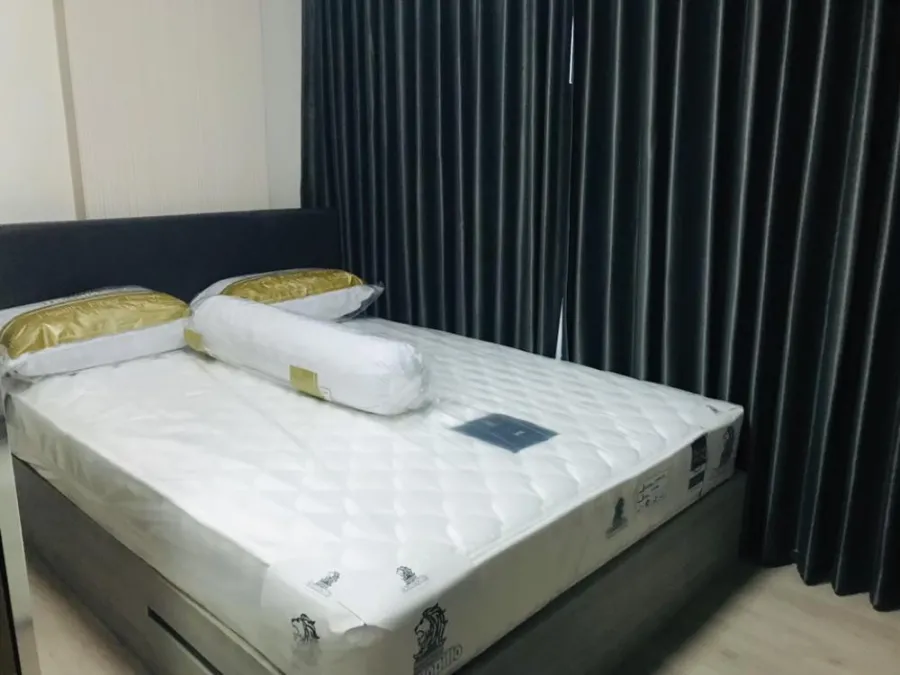 For Rent ดีคอนโด แคมปัสโดม รังสิต ห้องกั้น เพิ่มความเป็นส่วนตัวสุด ได้วิวสวนธรรมชาติๆ ให้ไว ก่อนพลาด