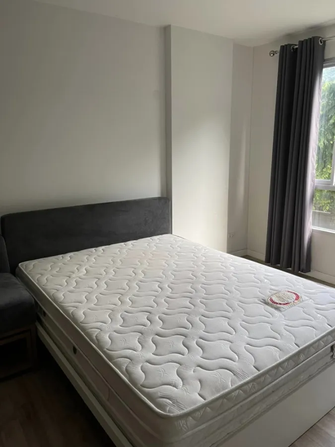 ปล่อยเช่า dcondo แคมปัส รังสิต เฟส2 ห้องมาพร้อมเฟอร์ เครื่องใช้ไฟฟ้าครบ ราคาดี ต้องรีบมาจอง