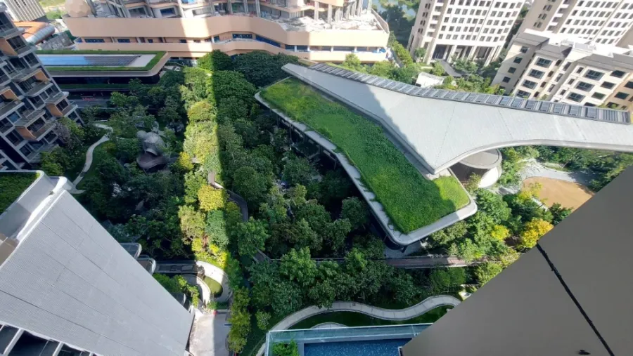 ขาย Whizdom The Forestias 1 ห้องนอน 1 ห้องน้ำ พื้นที่ใช้สอยเยอะ วิวสวยไม่บล็อค ห้ามพลาด