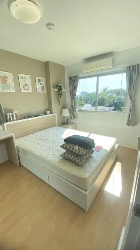 ปล่อยเช่า มายคอนโด สุขุมวิท 81 ห้องพร้อมอยู่ เฟอร์นิเจอร์ครบชุด สายมินิมอล มินิใจ จองด่วนจ้า
