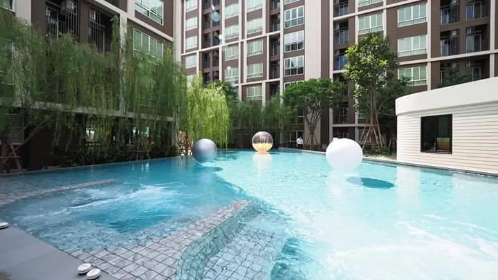 ให้เช่า dcondo Campus Dome Rangsit ห้อง Studio ชั้น 8 มาพร้อมสิ่งอำนวยความสะดวก ราคาคุ้ม จองเลย