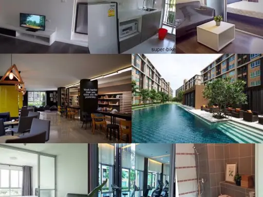 ขาย D Condo แคมปัส รีสอร์ท รังสิตมหาวิทยาลัยธรรมศาสตร์รังสิต อาคาร B ชั้น 2 วิวสวน คุ้มราคา ด่วน