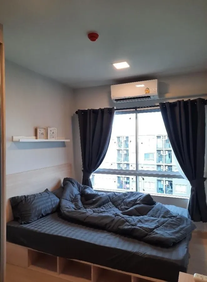 🏠🌃 ให้เช่า พลัมคอนโด รังสิต อไลฟ์ เฟส 2 🏠🌃