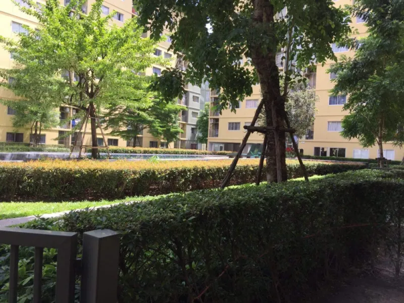 ให้เช่า Plum Condo Park Rangsit วิวสระว่ายน้ำ ห้องสวยน่าอยู่สุดๆ สิ่งอำนวยสะดวกครบครัน จองด่วนๆจ้า
