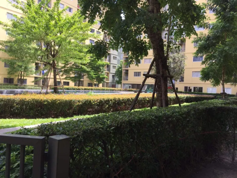 ให้เช่า Plum Condo Park Rangsit วิวสระว่ายน้ำ ห้องสวยน่าอยู่สุดๆ สิ่งอำนวยสะดวกครบครัน จองด่วนๆจ้า