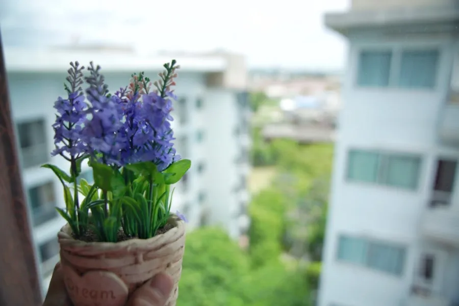 ให้เช่า คอนโด เอ สเปซ สุขุมวิท 77 ห้องมุม วิวทุ่งหญ้า ห้ามพลาด