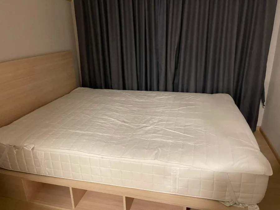 ปล่อยเช่า Plum Condo Rangsit Alive 1 ตำแหน่งดี ห้องมุม ภายในบิวท์อินอย่างดี ไม่จองแล้วจะเสียใจ