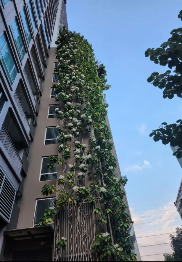 ให้เช่าคอนโด Thru Thonglor ติดวอเปเปอร์จัดเต็ม เฟอร์ครบชุด พร้อมอยู่ รีบจับจองได้เลยจ้า
