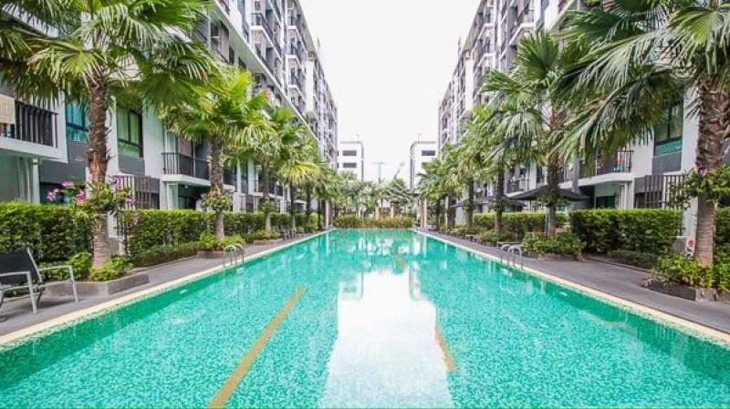 ขายด่วน!!! ไอคอนโด สุขุมวิท 105 วิวสวย เฟอร์นิเจอร์ครบ รีบจอง!!!