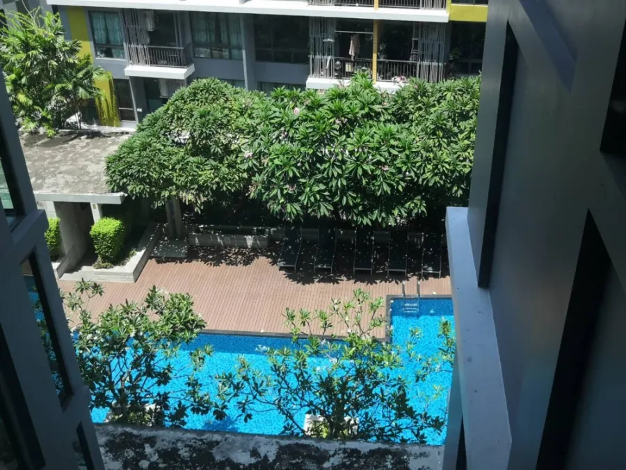 ให้เช่า!! ไอคอนโด สุขุมวิท 103 ห้องสวย เฟอร์นิเจอร์ครบ ราคาดี ห้ามพลาด!!