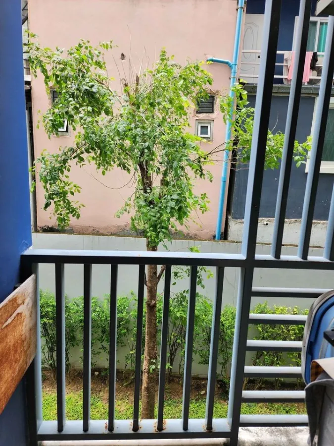 For rent: The Niche ID Seri Thai, blue-navy tone room, beautiful and comfortable to the eyes, complete facilities, don't miss it.
