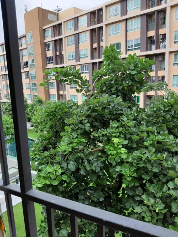 ขายด่วน D condo campus resort rangsit ห้องสวยแต่งวอล 1 นอน 1 น้ำ เฟส 1 พร้อมเข้าอยู่