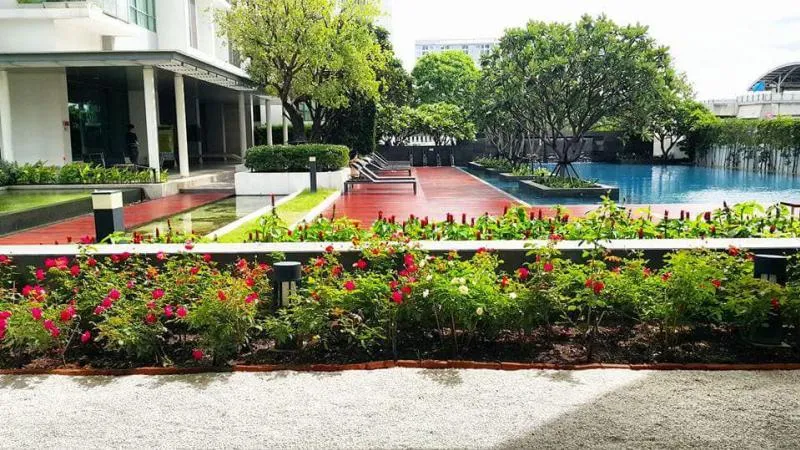 Sell / rent The Room Sukhumvit 62, high floor, beautiful view, fully furnished, convenient transportation, near bts, hurry