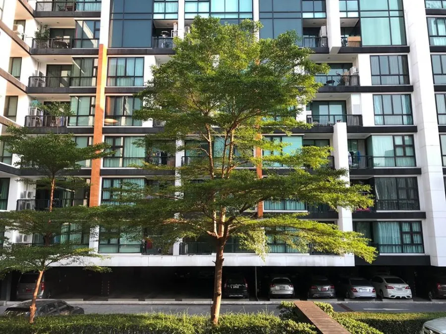 ขาย ให้เช่า D65 Condo – Duplex เพดานสูง โปร่ง โล่ง อยู่สบาย ชั้นบนสุด เงียบ เป็นส่วนตัว จองเลย อย่ารอช้า