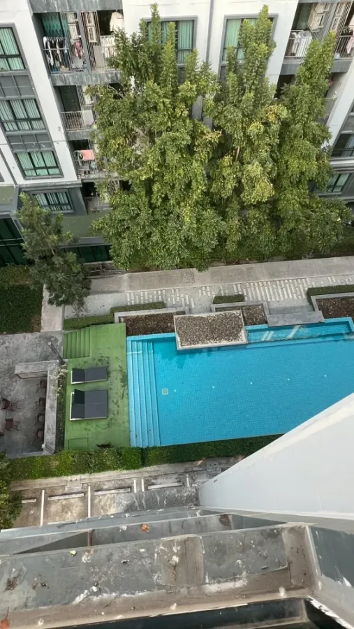 ให้เช่า เคนซิงตัน แหลมฉบัง ศรีราชา ห้องพร้อมอยู่ เฟอร์พร้อม กว้างขางอยู่สบาย จองเลย