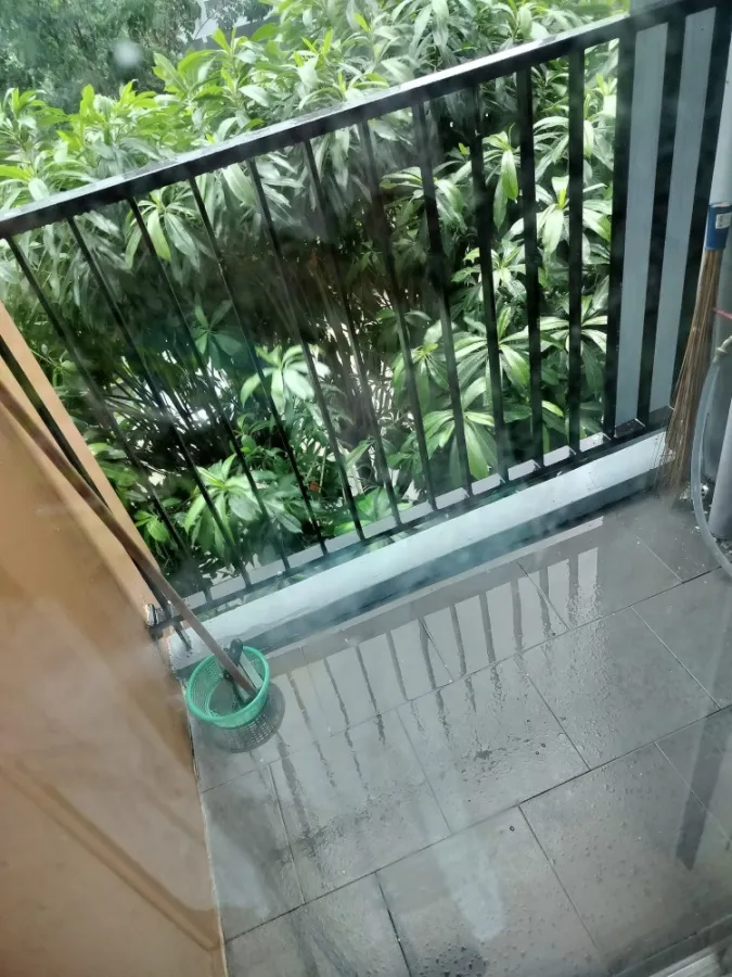 Selling Plum Condo, Central Station, 3rd floor, parking lot view, fully furnished, comes at a low price that you should not miss.