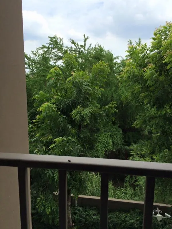 For rent, Dcondo Rangsit, 1 bedroom, 1 bathroom, garden view, very private, ready to move in Plus, the price is still very cheap, so hurry up.