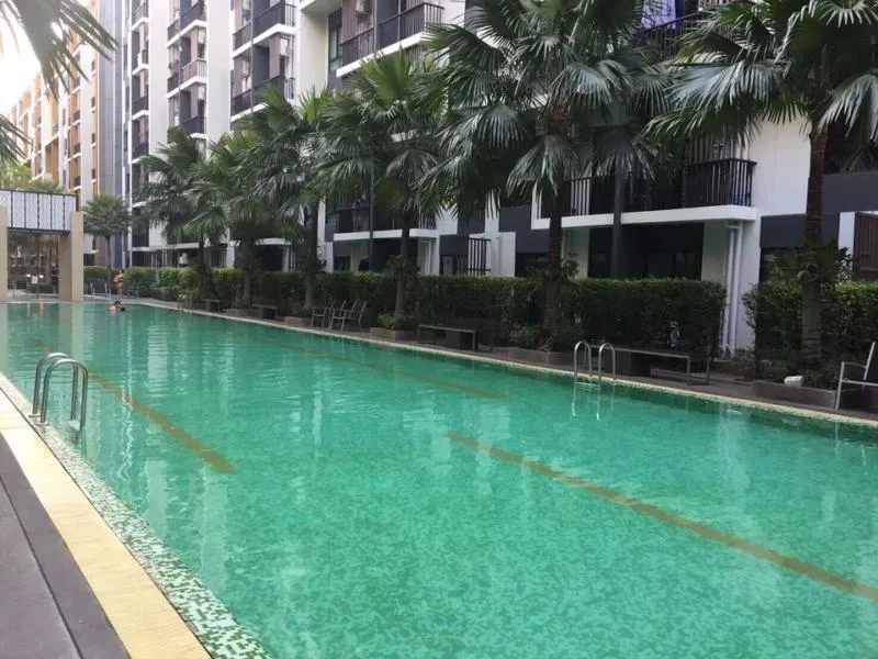 ขาย ให้เช่า ไอคอนโด สุขุมวิท 105 วิวห้องฝั่งสวน ทำเลดี เดินทางสะดวก ห้ามพลาด!!!