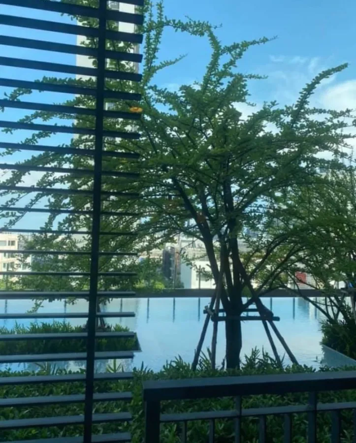 Sell / rent Bloc Condo 77, 5th floor, east, pool view, ready to move in, can't miss it!