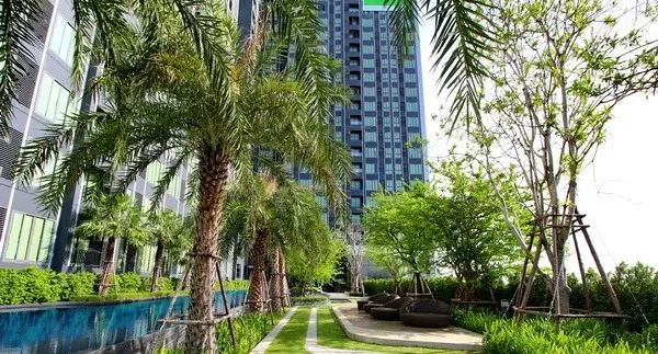 Condo for sale/rent: Ideo Mobi Sukhumvit Eastgate, 15th floor, swimming pool view, corner room, built-in furniture + electrical appliances + washing m