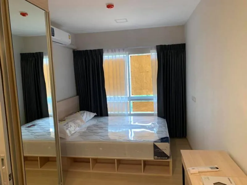 ปล่อยเช่า Plum condo Rangsit alive1 ใกล้ ม.กรุงเทพ วิวสระว่ายน้ำ ชั้นสูงกำลังดี ร่มรื่น ไม่ร้อน ด่วน
