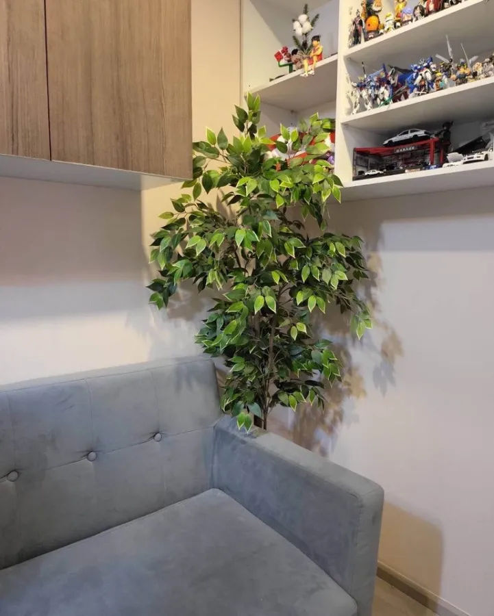Sell Plum Condo, Central Station, decorated with good furnishings + complete set of electrical appliances, good price, book now.