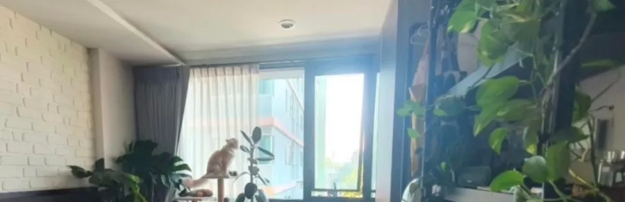 Condo for sale: The Unique Ratchada 19, Loft style, Pet Friendly style, cat slaves will definitely like this. Book now.