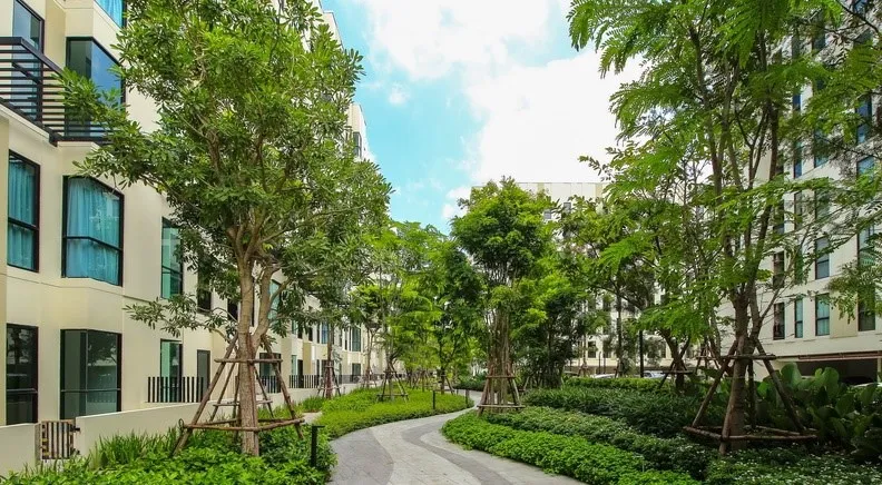 ขายด่วน!! คอนโด ยูนิโอ สุขุมวิท 72 ชั้น 4 ตึก E วิวสระว่ายน้ำ ห้องสวย เฟอร์นิเจอร์ครบ รีบจองเลย!!