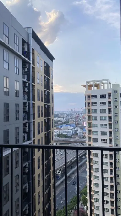 ให้เช่า Plum Condo Pinklao Station 1 ห้องนอน 1 ห้องน้ำ เฟอร์นิเจอร์ครบครัน วิวสระสวย รีบจองเลยตอนนี้