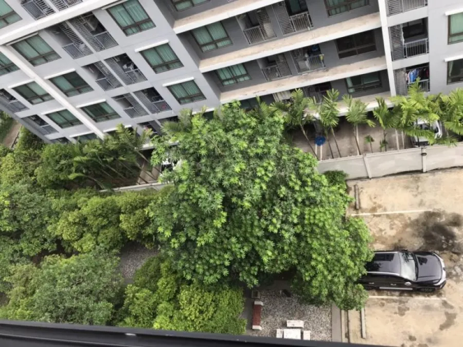 sale rent เดอะ นีช โมโน บางนา ชั้น 8 ห้องสวย เฟอร์ครบ พร้อมเข้าอยู่ได้ทันที รีบจองเลย!!