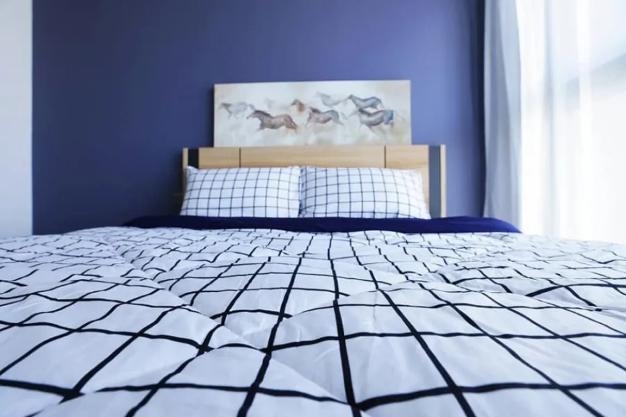 ให้เช่า คอนโด เดอะ ไลน์ สุขุมวิท 101 ห้องแบบ Duplex วิวสวย ชั้นสูง อย่าช้าจองเลย!!