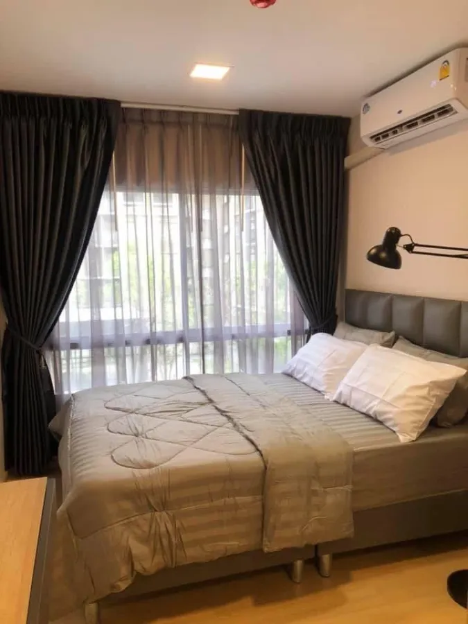 For rent: Plum Condo Rangsit Alive 1, 3rd floor, swimming pool view, nice room, fully furnished, reserve now!