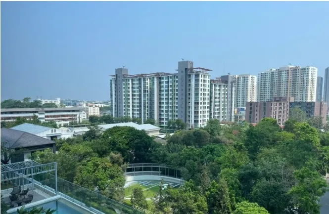 ให้เช่า คอนโด Whizdom Connect Sukhumvit ห้องพร้อม สิ่งอำนวยความสะดวกครบ วิวสูง จองเลย