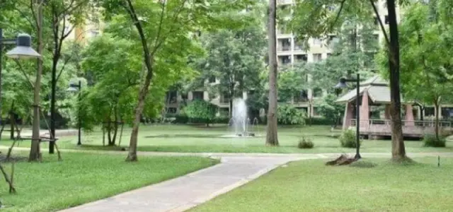 ขายด่วน!! The Parkland Bangna ราคาพิเศษ! พร้อมเฟอร์ เข้าอยู่ได้เลย พลาดแล้วจะเสียใจ!! images