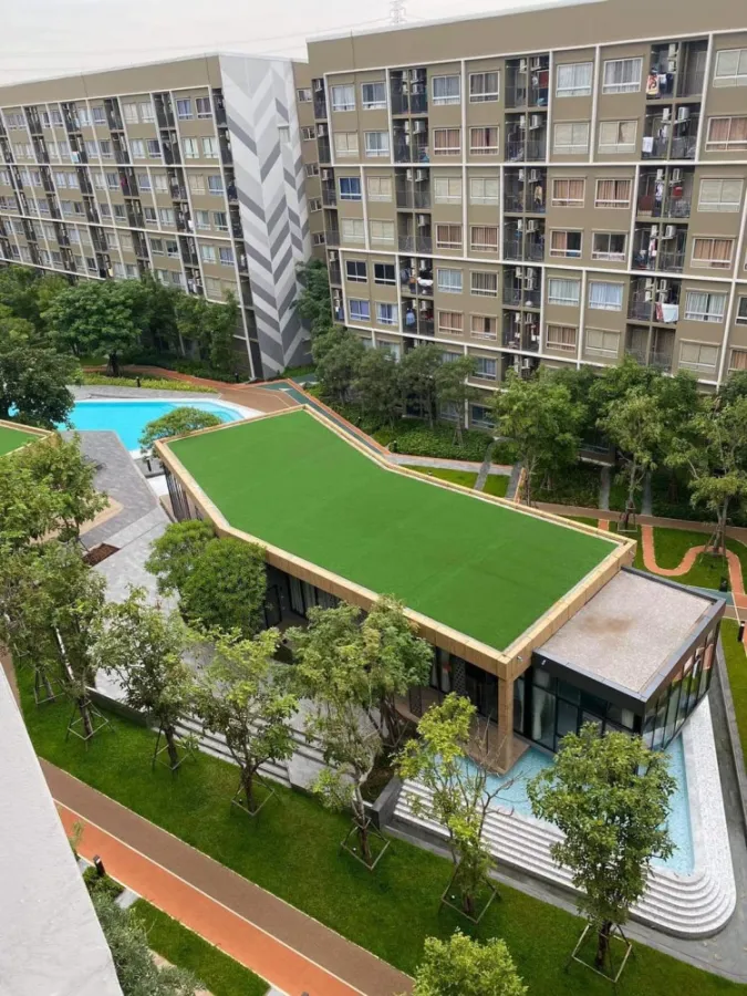 For rent, Plum Condo Rangsit Alive 1, 8th floor, cool, cool, lots of urgent