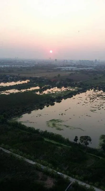 ปล่อยเช่า ลุมพินีเมกะบางนา ห้องมุมสูง วิวสวย ตกเเต่ง พร้อมเฟอร์ ด่วน