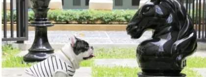 ขาย ให้เช่า!! มาเอสโตร 03 รัชดา-พระราม 9 ห้องน่าอยู่ ครบจบที่เดียว มาแต่ตัวเข้าอยู่ได้เลย จองด่วน!!