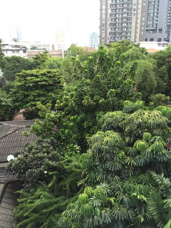Condo for rent, Tidy Deluxe Sukhumvit 34, beautiful room, beautiful view, fully furnished, prime location, next to BTS Thonglor Do not miss this price.