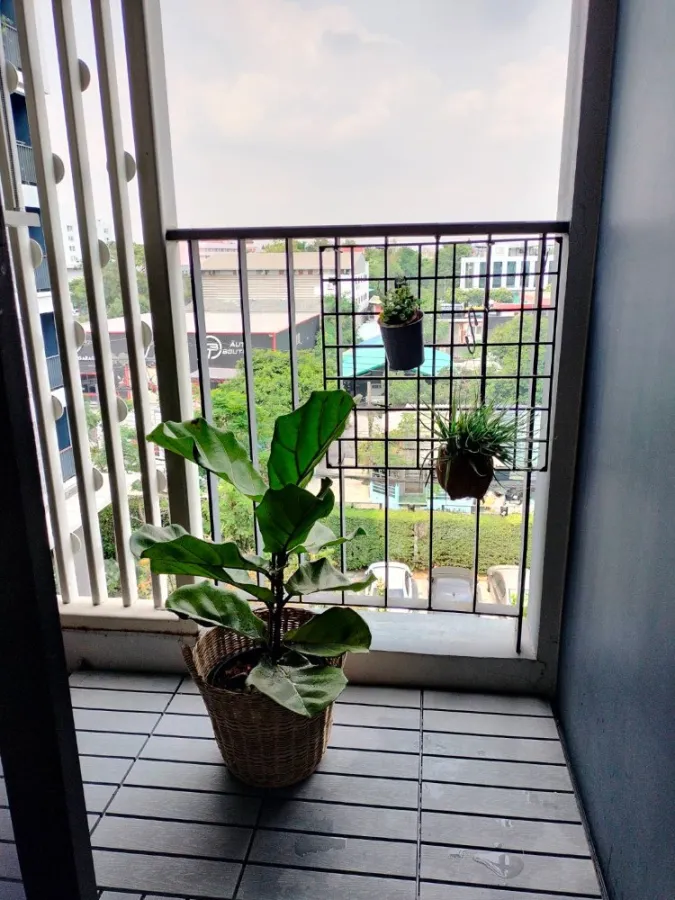 ขาย ให้เช่า นีเวร่า เอกมัย-รามอินทรา ห้องกั้นเป็นสัดส่วน มาพร้อมการตกแต่งที่ครบครัน จองเลย อย่ารอช้า