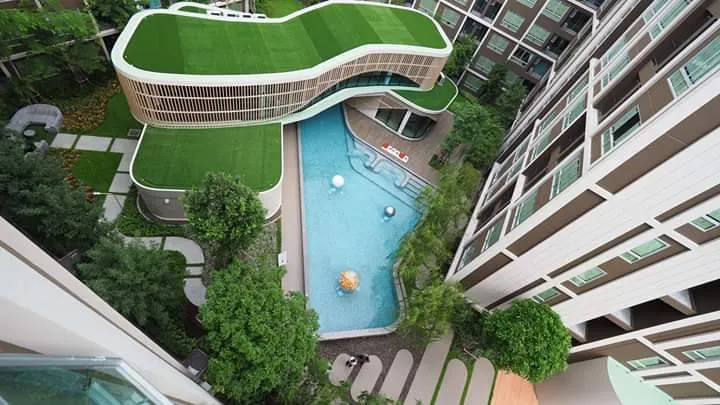 ให้เช่า dcondo Campus Dome Rangsit ห้อง Studio ชั้น 8 มาพร้อมสิ่งอำนวยความสะดวก ราคาคุ้ม จองเลย