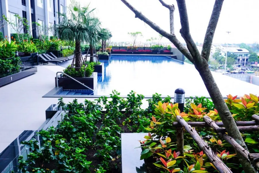 Condo for rent at The President Petchkasem-Bangkhae, nice room, fully furnished and electrical appliances, good price, book now.