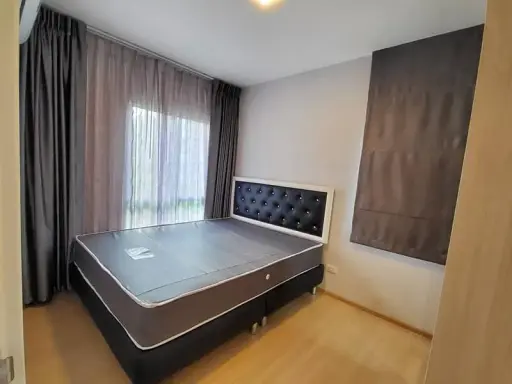 🍃🏢 ให้เช่า/ขาย Plum Condo Rangsit Alive เฟส 1 | ห้อง 2 นอน อบอุ่น สไตล์โมเดิร์น พร้อมอยู่! 🏢🍃 images