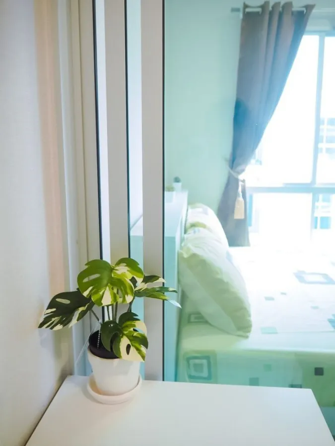 Plum Condo Mix Chaengwattana, this room is brand new, fully furnished, plus the best price. I need this room Don't miss it