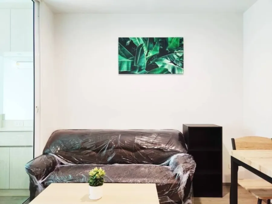 🔑 ให้เช่า Regent Home Sukhumvit 97/1 ห้องแต่งสวย เฟอร์ครบ ราคาดี ✨