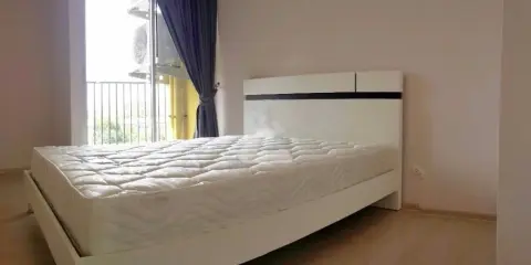 ให้เช่า Plum Condo Park Rangsit 2 ห้องนอน 1 ห้องน้ำ อยู่กลับกลู่มเพื่อนสบายสุดๆ ห้ามพลาดน้า