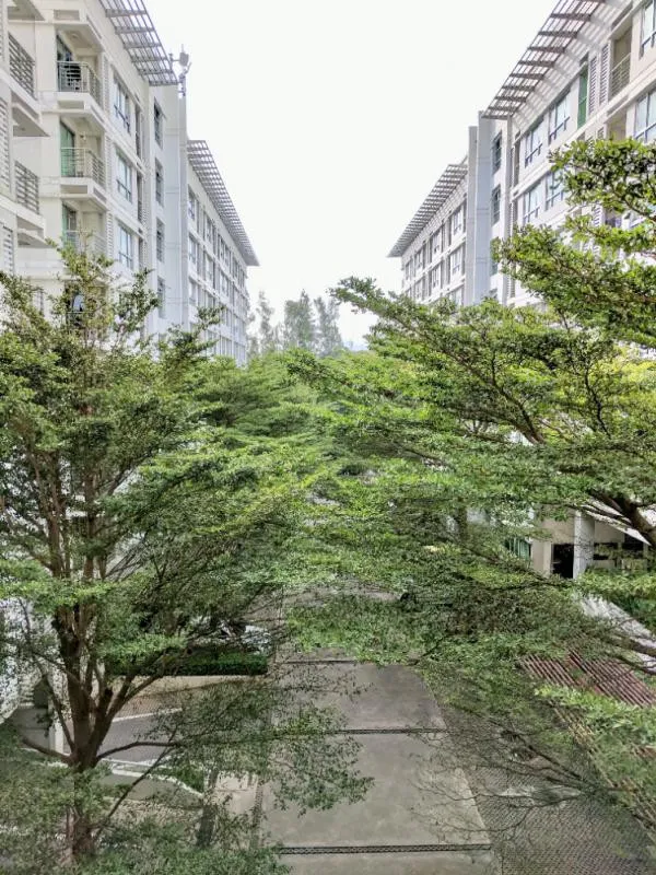 ให้เช่า คอนโด เดอะ รูม สุขุมวิท 79 ห้องชั้นสูง วิวดี อย่ารอช้า จองด่วน!!