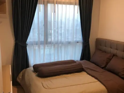 Condo for rent, The Tree Sukhumvit 71-Ekkamai, high floor, beautiful view, privacy, don't miss it.