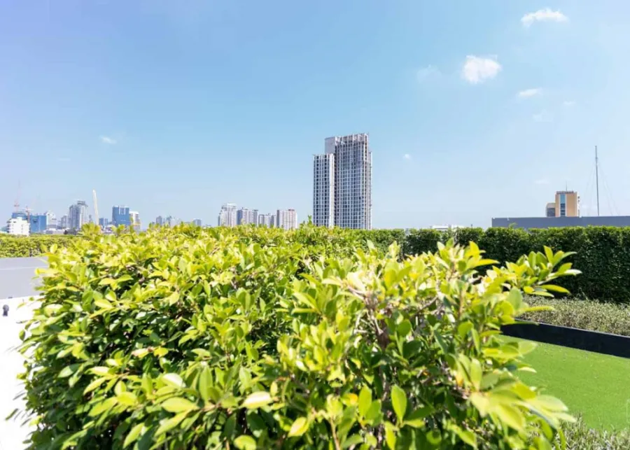 Rent a Vetara Sukhumvit 36, 2 bedrooms, complete facilities Book and not disappointed.