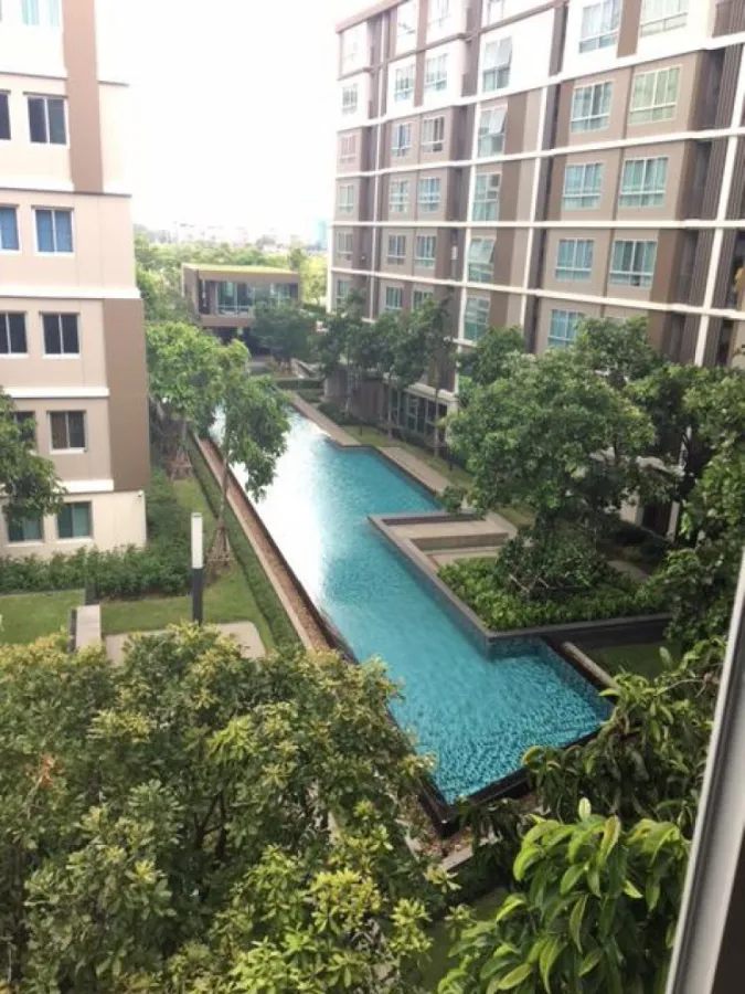 ปล่อยเช่า Dcondo Campus Resort Rangsit 2 ชั้น 4 วิวสระเน้นๆ เฟอร์นิเจอร์เครื่องใช้ไฟฟ้าครบ รีบจองเลย
