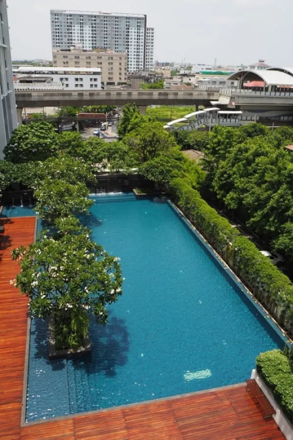 Condo for rent, The Room Sukhumvit 62, 1 bedroom, 1 bathroom, pool view, near BTS, convenient to travel, don't miss it!!